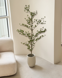 Artificial Black Olive Tree