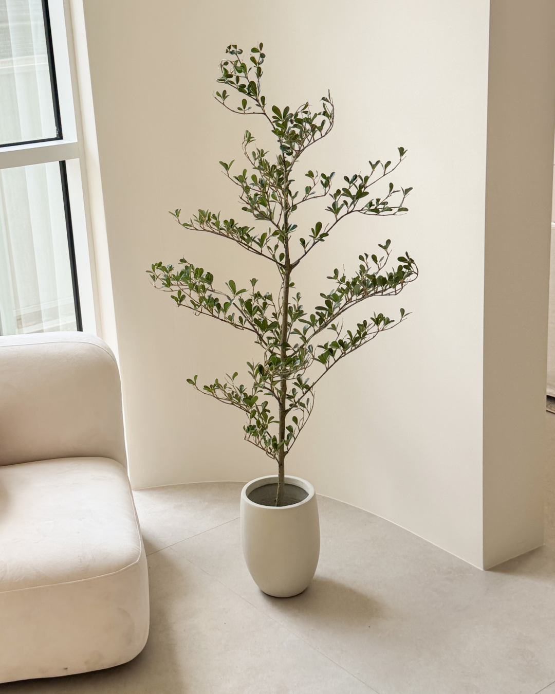 Artificial Black Olive Tree