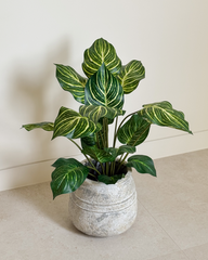 Artificial Monstera Plant