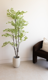 185cm Artificial Elm Tree