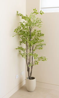 185cm Artificial Elm Tree