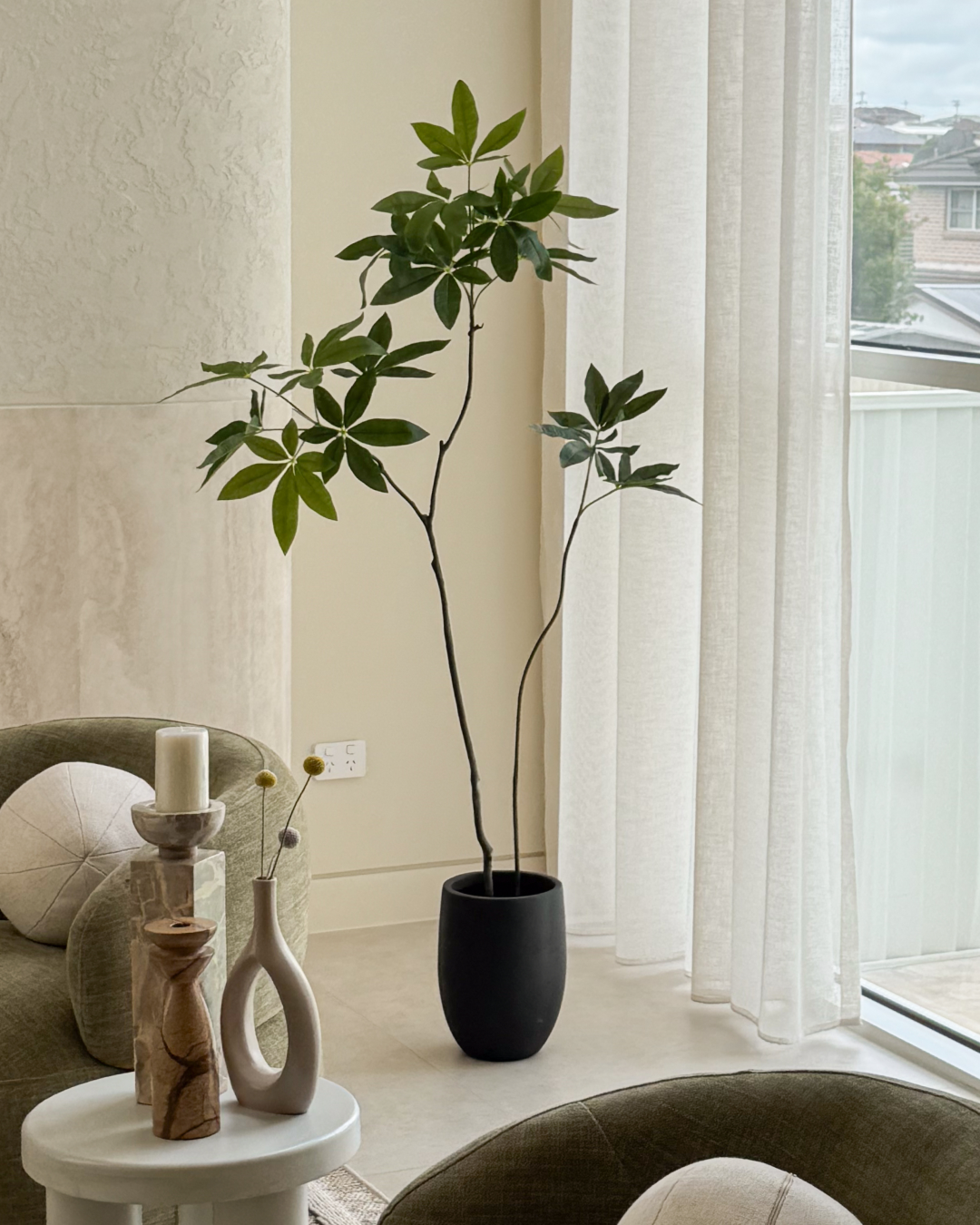 Kyoto Money Tree Bundle