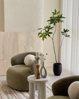 Kyoto Money Tree Bundle
