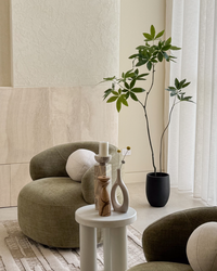 Kyoto Money Tree Bundle