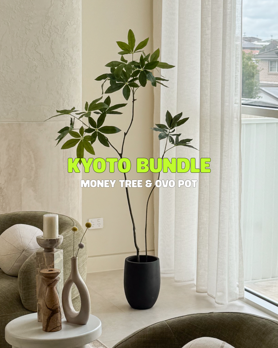 Kyoto Money Tree Bundle