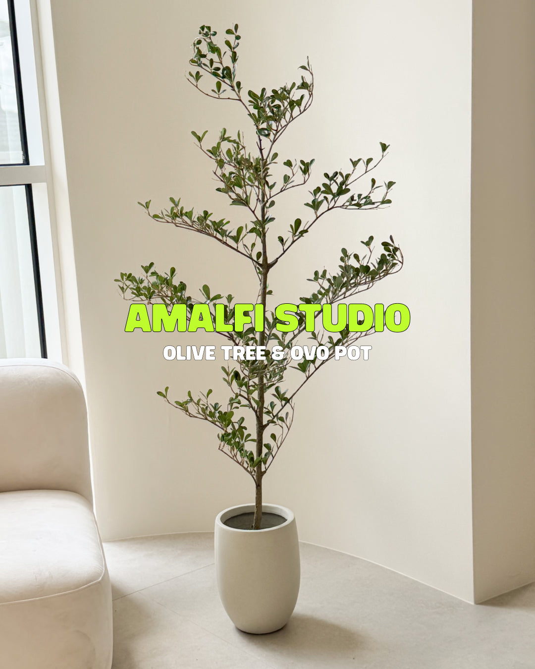 Amalfi Studio Bundle