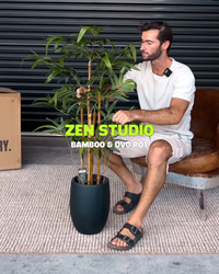 Zen Studio Bundle