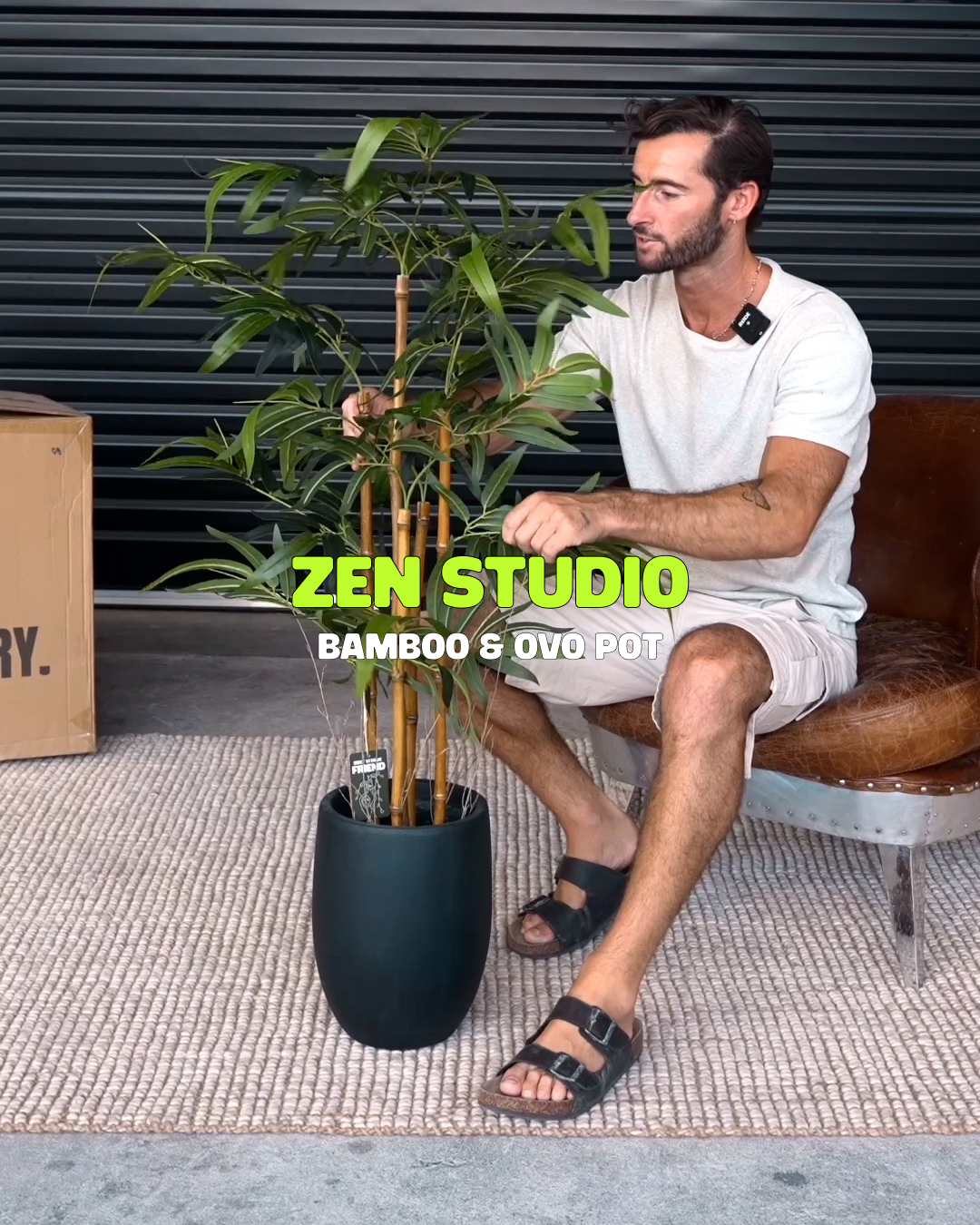 Zen Studio Bundle