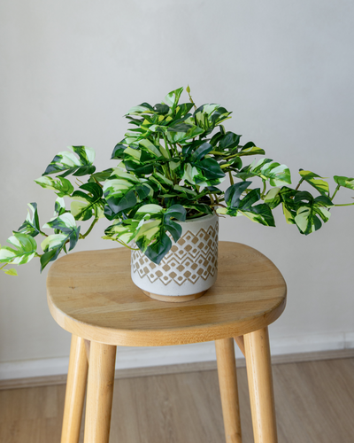 60cm Artificial Potted Pothos Plant