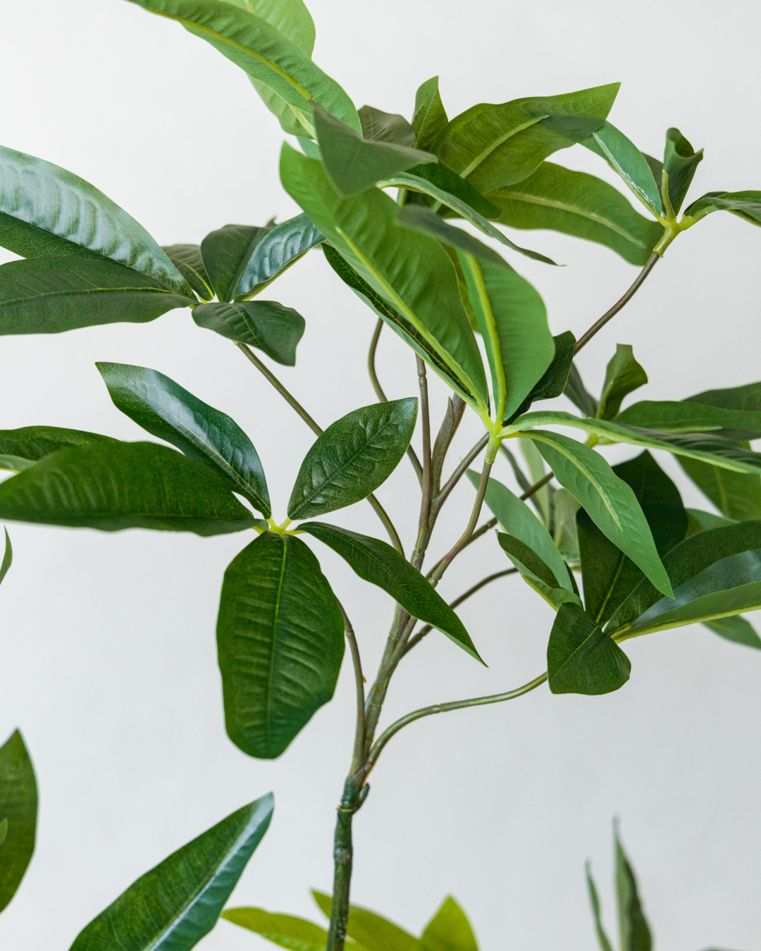 170cm Artificial Money Tree