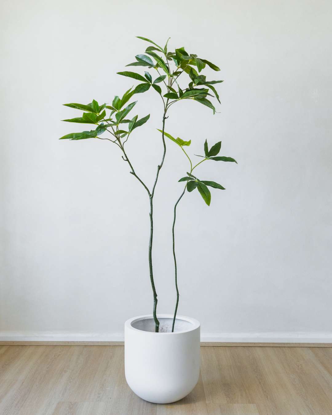 170cm Artificial Money Tree
