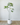 170cm Artificial Money Tree