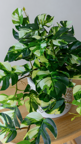 60cm Artificial Potted Pothos Plant