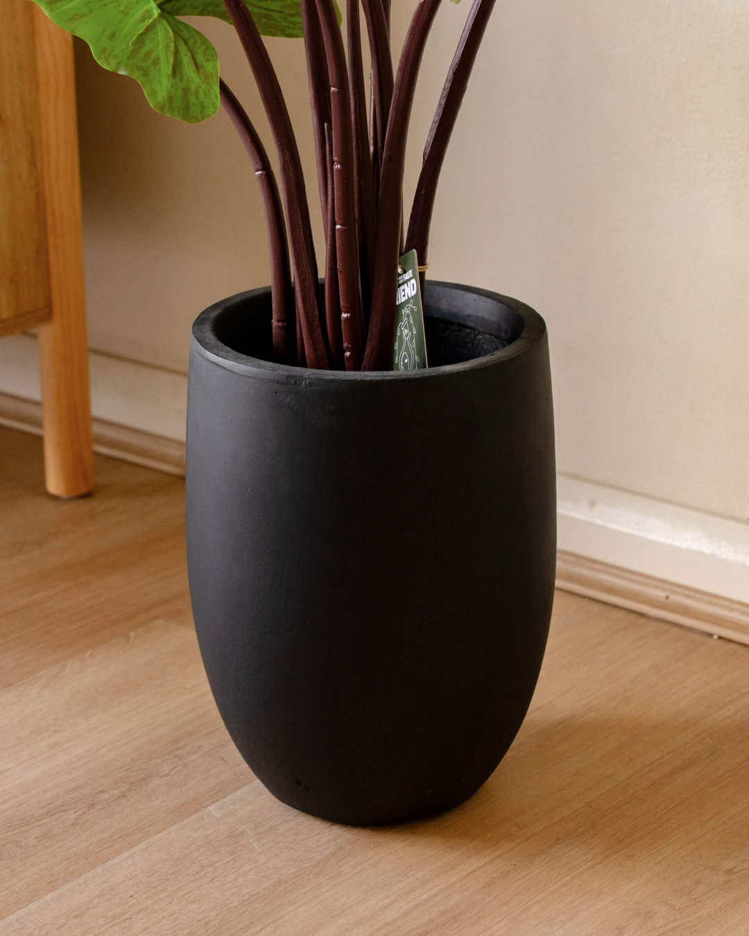 Minimal studio bundle