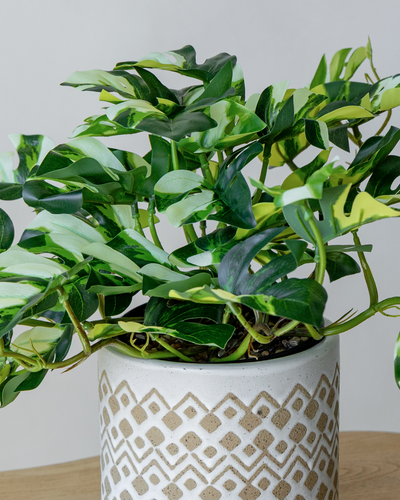 60cm Artificial Potted Pothos Plant