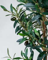 180cm Potted Artificial Olive Tree