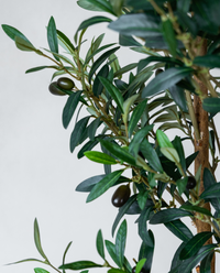 180cm Potted Artificial Olive Tree
