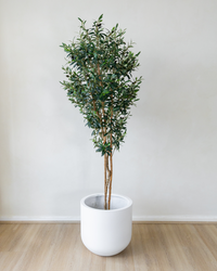 180cm Potted Artificial Olive Tree