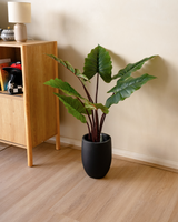 Minimal studio bundle