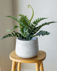 40cm Potted Artificial Fern