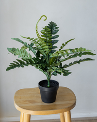 40cm Potted Artificial Fern