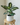 55cm Potted Artificial Small Plant