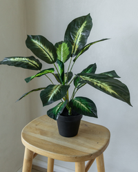 55cm Potted Artificial Small Plant
