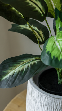55cm Potted Artificial Small Plant