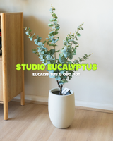 Studio Eucalyptus
