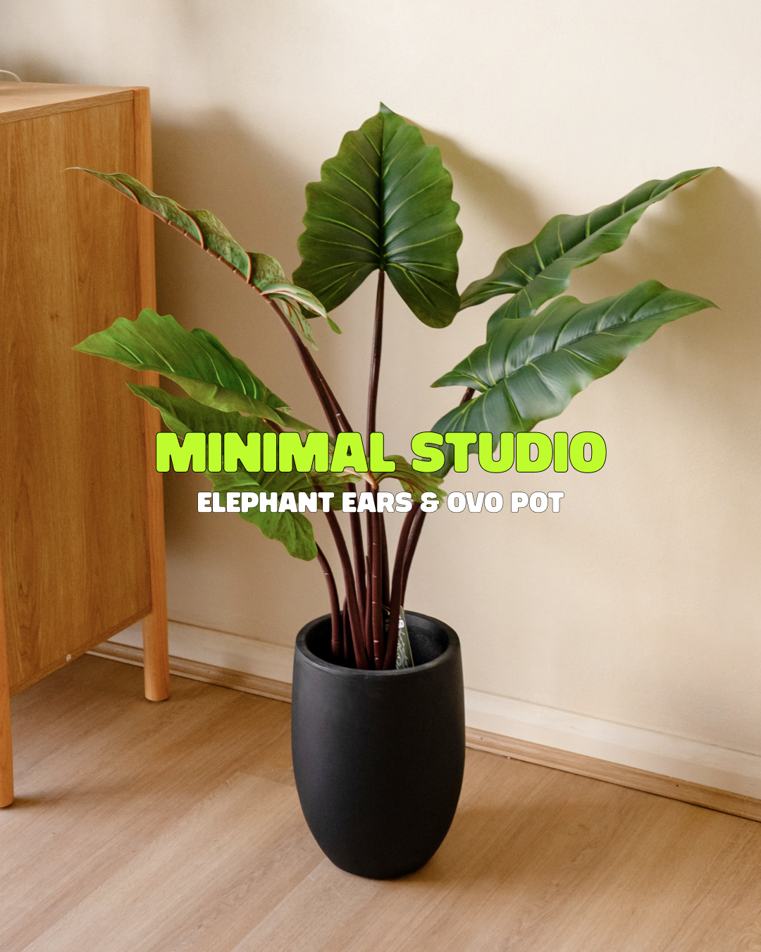Minimal studio bundle