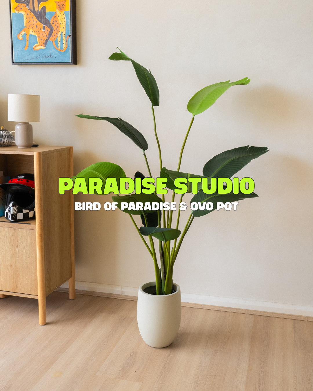 Paradise Studio