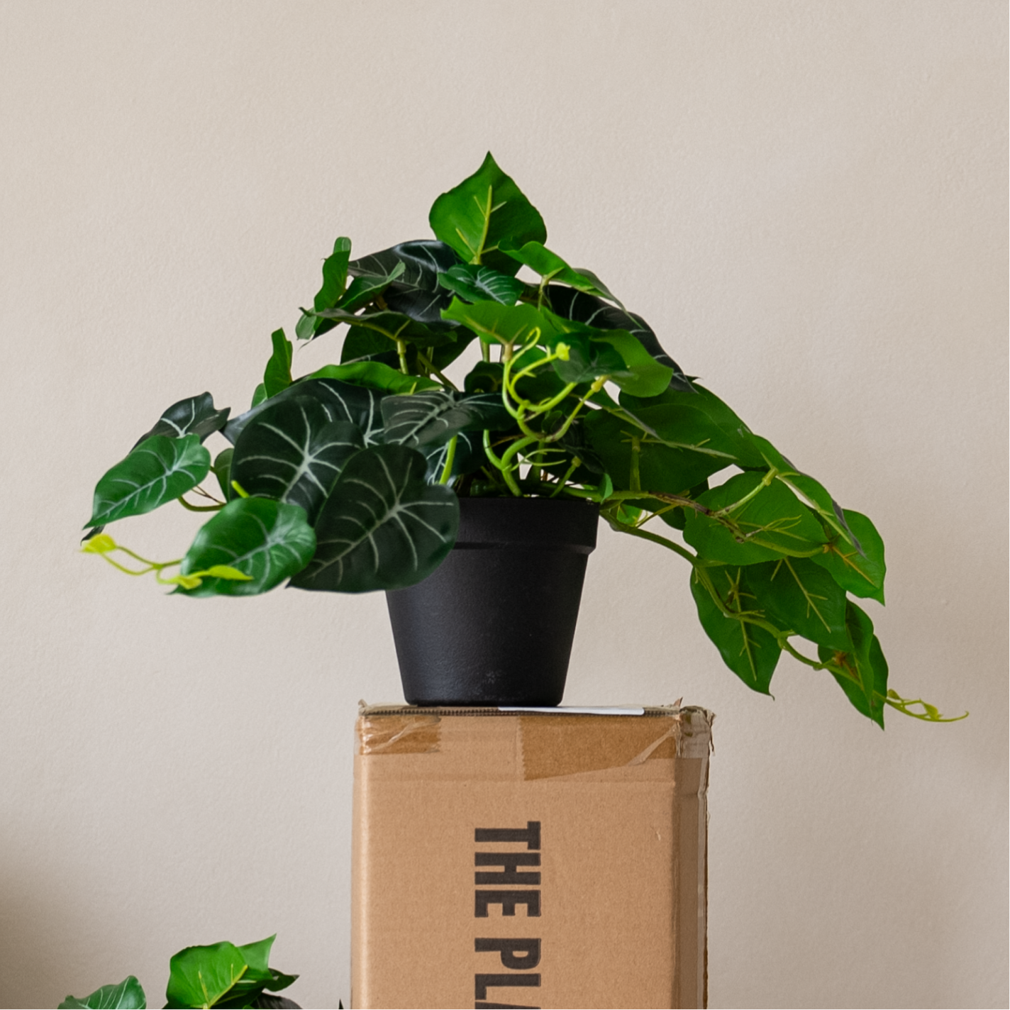 60cm Potted Artificial Pothos