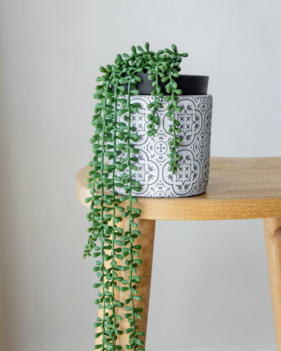 45cm Potted Artificial String of Pearls