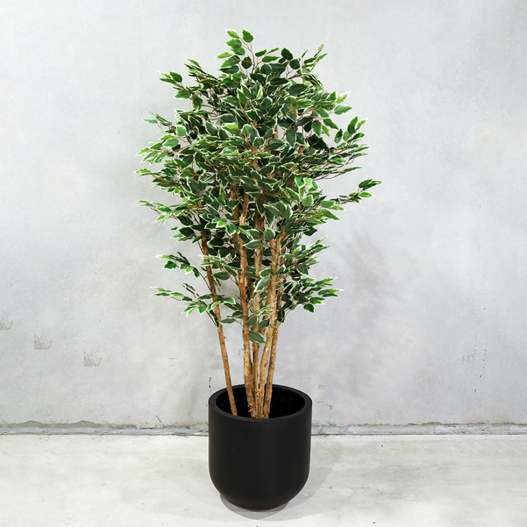 180cm Potted Artificial Ficus Tree