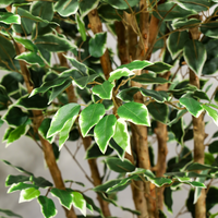 180cm Potted Artificial Ficus Tree