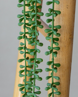45cm Potted Artificial String of Pearls