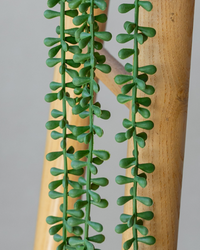 45cm Potted Artificial String of Pearls