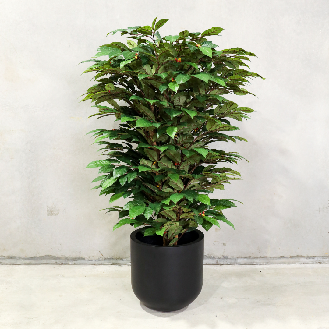 160cm Artificial Coffee Tree