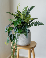 Tropical arrangement