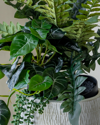 Tropical arrangement