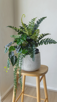 Tropical arrangement