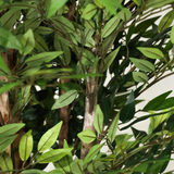 180cm Potted Artificial Smilax Tree