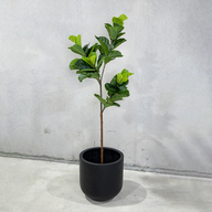 180cm Potted Artificial Fiddle Leaf