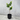 180cm Potted Artificial Fiddle Leaf