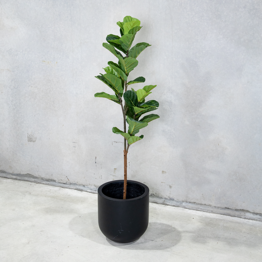 150cm Potted Artificial Fiddle Leaf