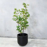 170cm Potted Artificial Japanese Plant