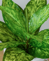 28cm Artificial Evergreen Plant