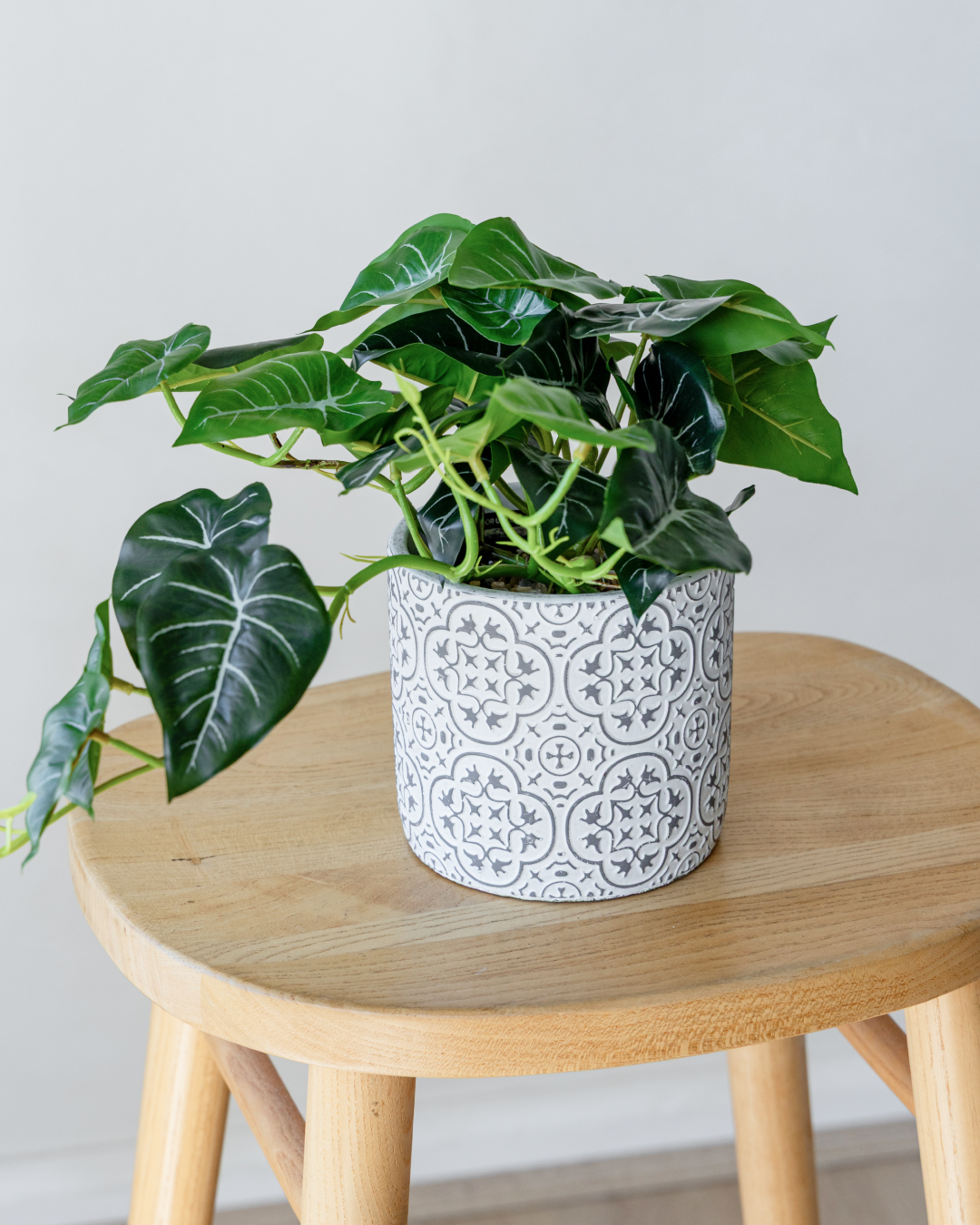45cm Potted Artificial Alocasia