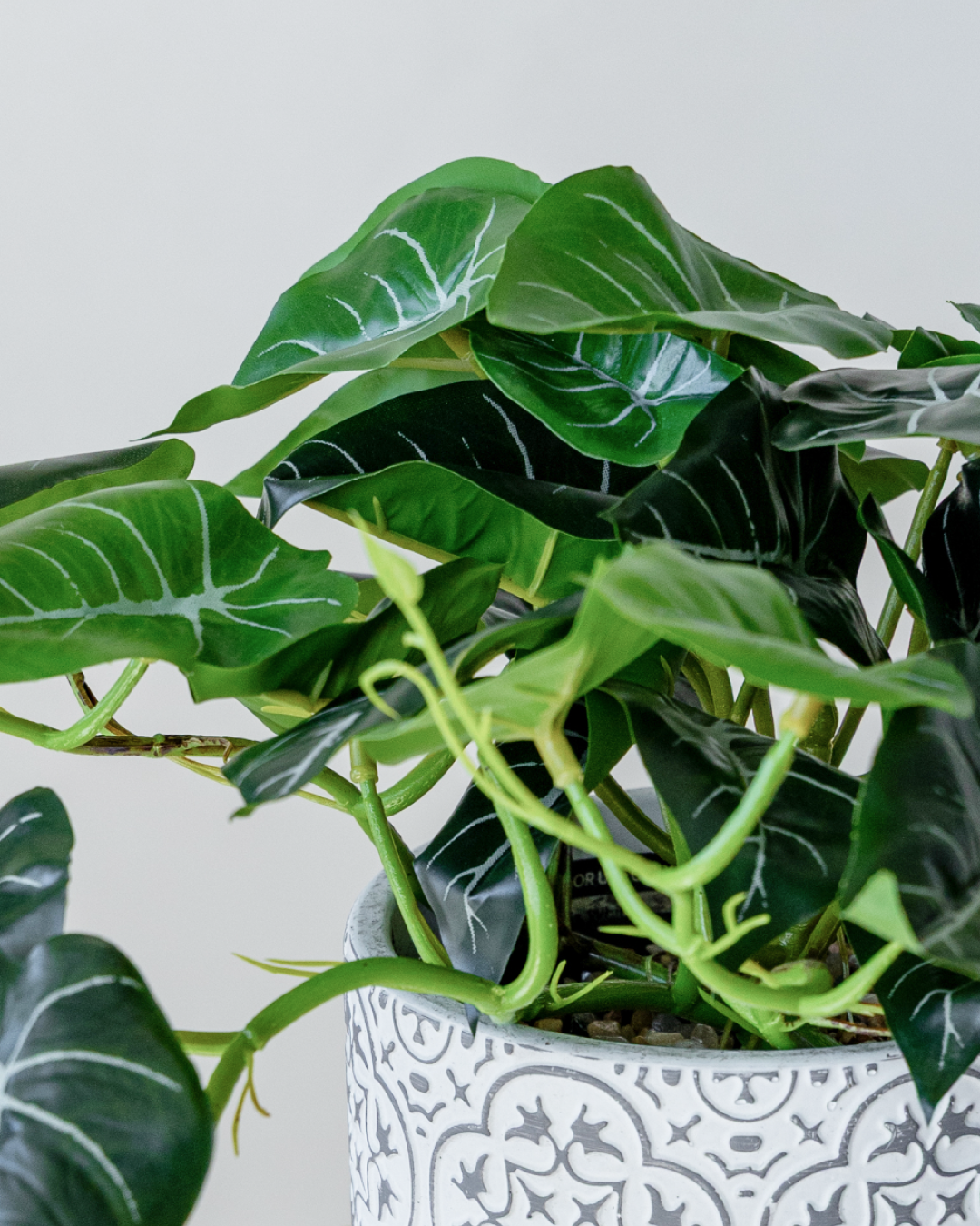 45cm Potted Artificial Alocasia