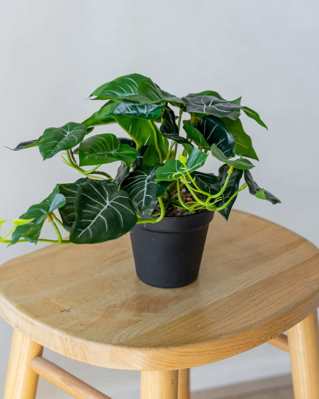 45cm Potted Artificial Alocasia